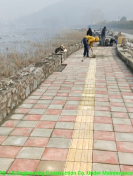 WhatsApp Image 2024-12-04 at 12.48.38 PM